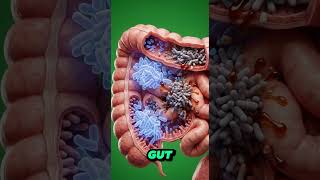 “What Coca-Cola REALLY Does to Your Body #cocacola #shorts  #soda #science #humanbody #viralvideo