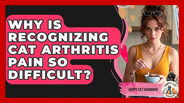 Why Is Recognizing Cat Arthritis Pain So Difficult? - Happy Cat Handbook
