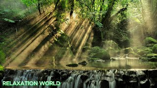 Relaxing Music, Stress Relief Music. Sounds of nature: relaxation to the music of a waterfall.