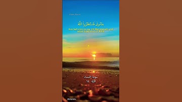 سورة النساء الآية ٦٤ بصوت الشيخ محمد صديق المنشاوي