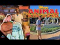 Animal Kingdom 25th Merch and More!