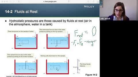 phys3A ch14.2 Fluids at Rest