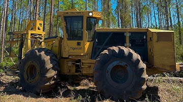 Tigercat 720G Thinning Pine