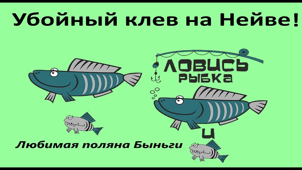 Улетный клев на Нейве
