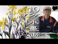 10分 水墨画 (#6) 「菜の花」を描こう｜絵手紙｜10min Ink Painting "CANOLA FLOWER"