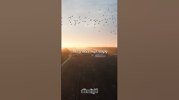 ما تيسر من سورة الأنبياء بصوت #القارئ_احمد_عاطف #explore #fypシ゚viral #foryou #تلاوة_خاشعة #islam