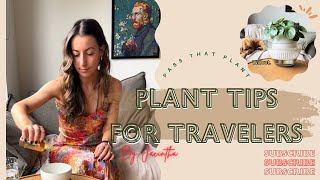 How to save house plants when on vacation without a bathtub #TravelHack #PlantsTips #PlantHacks