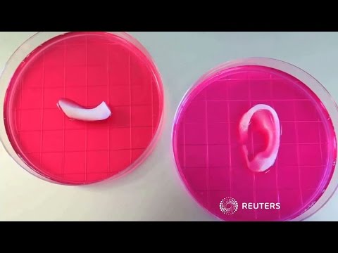 სამგანზომილებიანი ბიო პრინტერით ადამიანის ყურის ქსოვილი დაბეჭდეს!