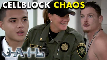 🚨 Cellblock Chaos: Altercations, Theft, Mugshot Antics | Jail TV Show