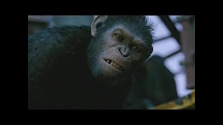 Caesar Vs Koba Final Fight Part 2 Dawn Of The Planet Of The Apes 2014