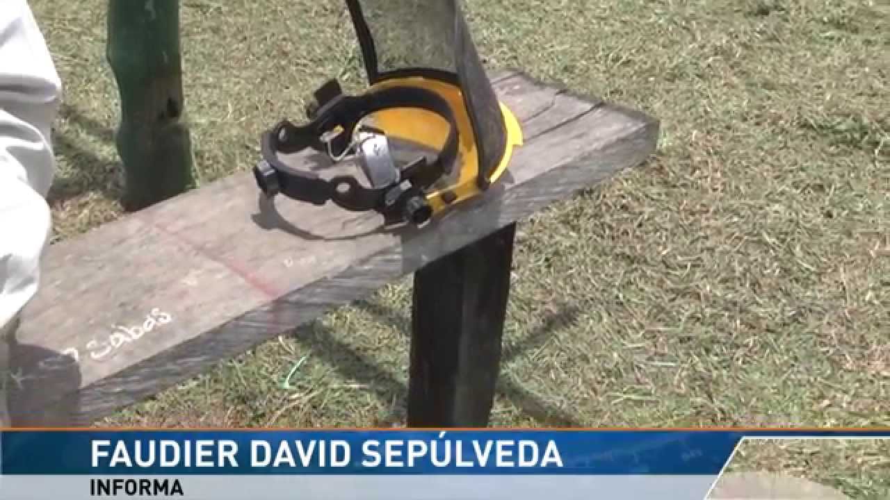 Medidas de protección para las guadañas. - YouTube