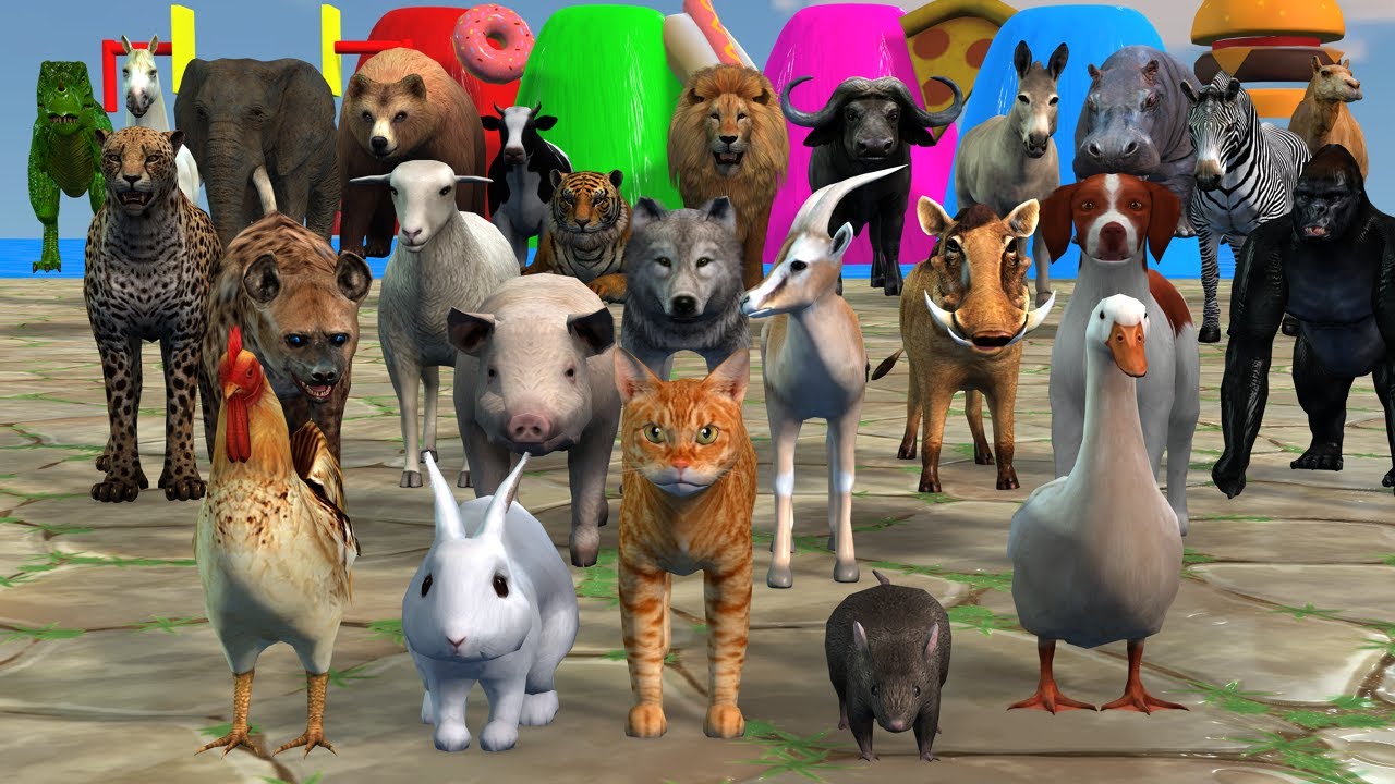 Long Slide Game With Cow Elephant Gorilla Hippopotamus Tiger 3d Animal Game Funny 3d Animals