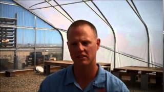 Growing sagebrush within Snake River Correctional Institution, Oregon Department of Corrections