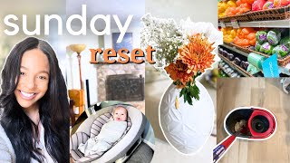 Sunday Reset|grocery haul+ organize with me+cook with me