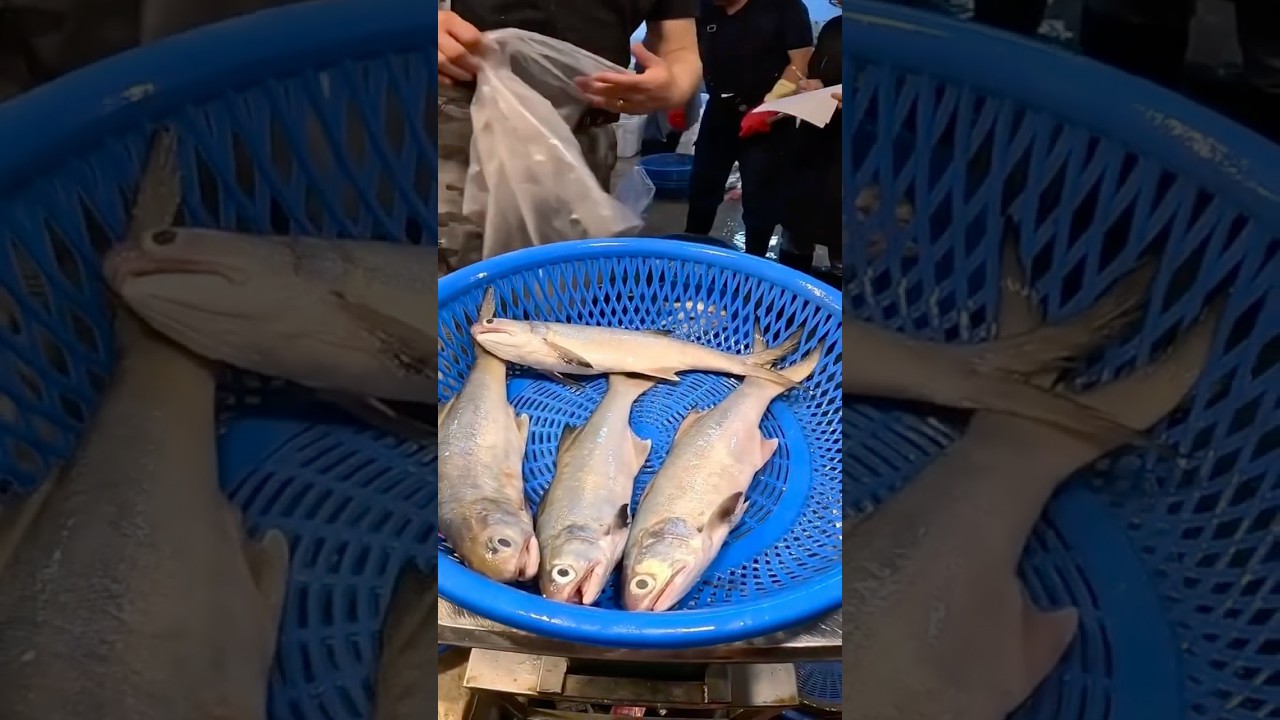 輸人不輸陣~野生午仔魚拍賣!基隆崁仔頂(JJ Family買魚日記) 縮圖