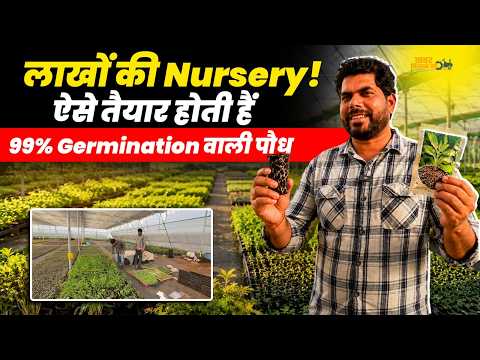 99% Germination का राज! 😳 Polyhouse Nursery से लाखों की कमाई