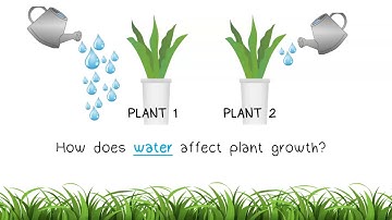 The Scientific Method Part 2: Variables and Hypothesis