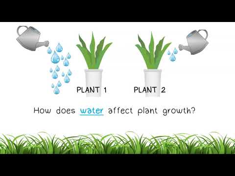 The Scientific Method Part 2: Variables and Hypothesis