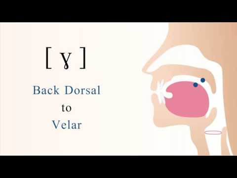 ɣ voiced dorsal velar non sibilant fricative