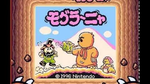 Unused Game Content Code Mole Mania JP Fatal Error Connection Screen SGB