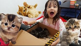 3 Bayi Kucing Baru Lahir Nyasar Ke Rumah Raline Gemes Banget 🥰 3 BABY CAT LOTS INTO RALINE'S HOUSE