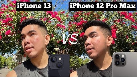 Iphone 12 pro vs iphone 13 camera