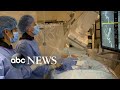 Doctors finds disturbing trend of strokes in young coronavirus patients l ABC News