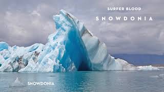 Video voorbeeld van "Surfer Blood - Snowdonia (Official Audio)"