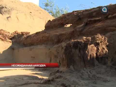 Неожиданная находка