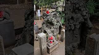 とっても可愛いお稲荷さんが沢山🦊💕#お稲荷さん#駒込神社#根津神社#神社参拝