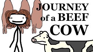 The Journey of a Beef Cow by Sam O'Nella Academy 11,977,997 views 6 years ago 4 minutes, 25 seconds