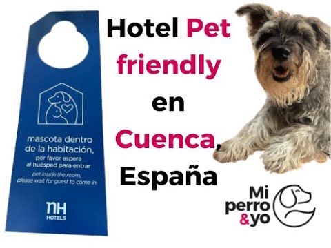 Video: ¿Se admiten perros en el hotel petwood?