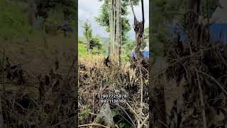 സ്ഥലം വില്പനയ്ക്ക്