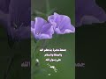 جمــــ ـــ ة مبــارڪ ة معطـــرة بـــذگـــر الله والصلاة والسلام على رســــول اللهﷺ 