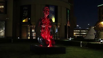 "Quantum Meditation" at Night