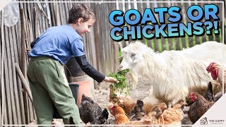 Raising Goats vs. Chickens: Which One Should You Pick?