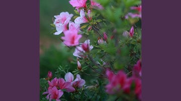 The Art of Letting Go