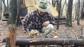 Back to Basics:  fire building with wet material (fire extenders) part 1