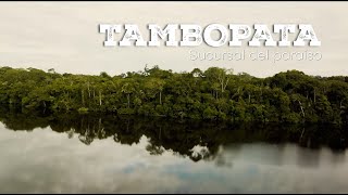 Reserva Nacional de Tambopata: sucursal del paraíso - Rutas ProInversión (Madre de Dios)