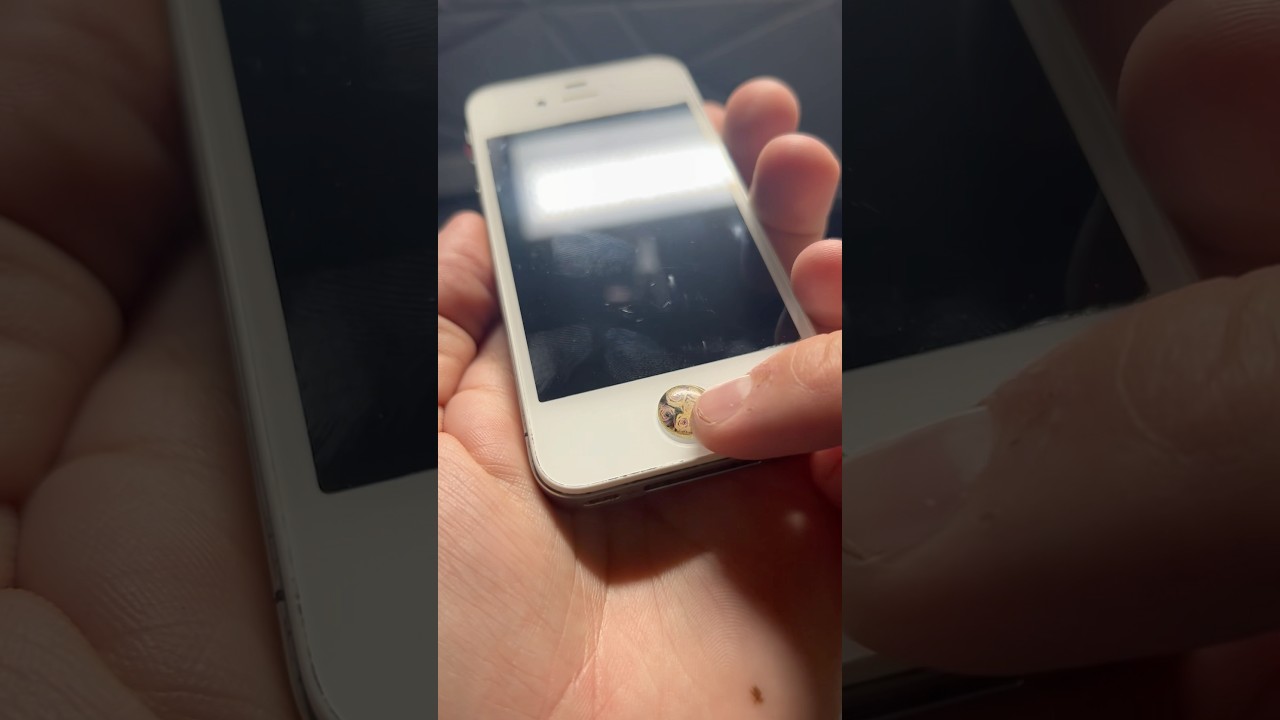 Lost and Found iPhone 4 