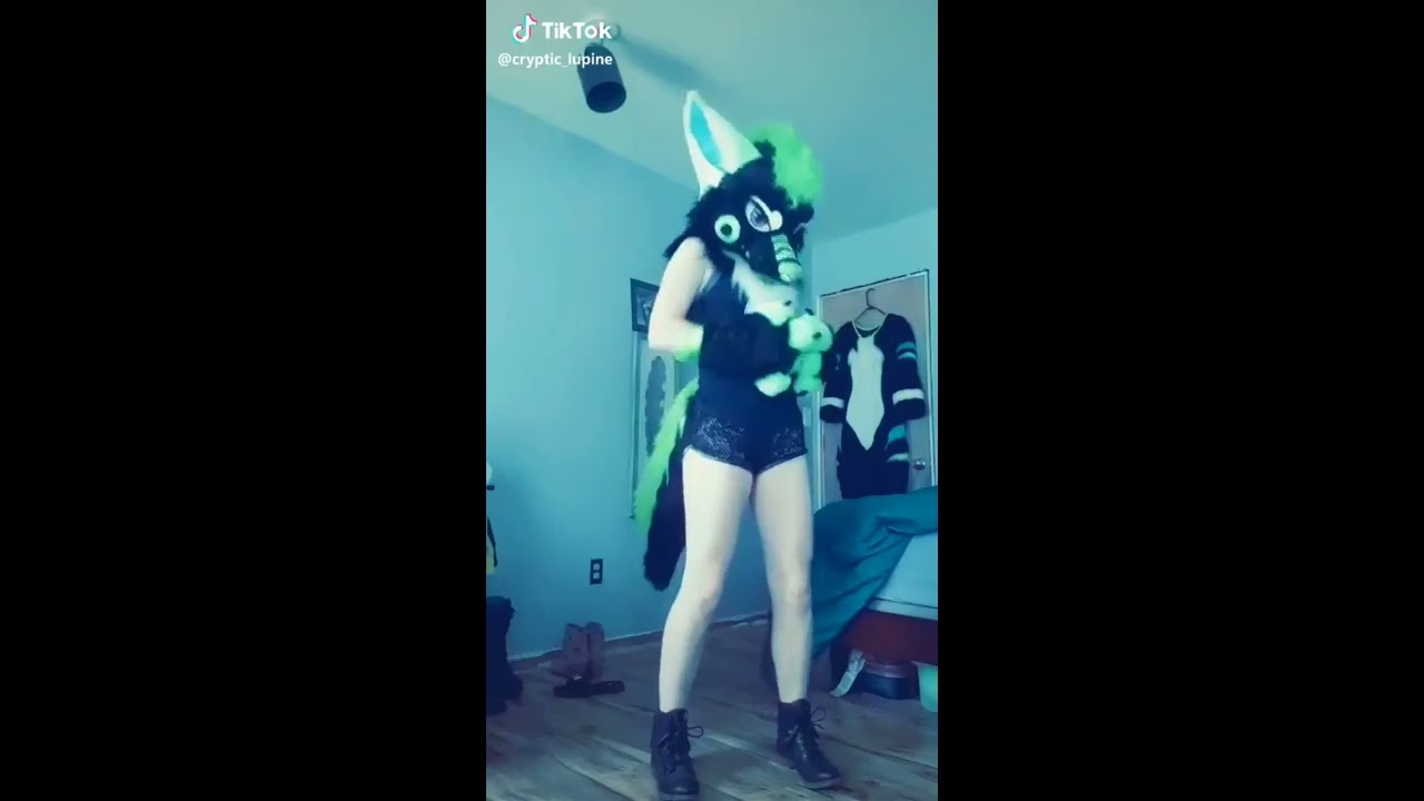 Furry tiktok 1 YouTube