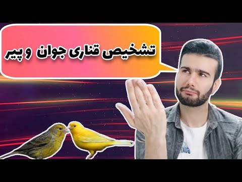 تصویری: چگونه از خمیدگی در دوران پیری در انگلستان جلوگیری کنیم؟