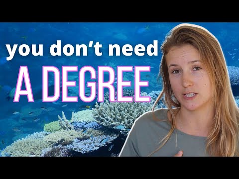 Tips on How to get into Marine Conservation