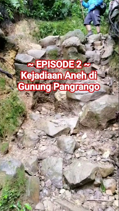 [Episode 2] Kejadian Aneh di Gunung Pangrango #shorts #misteri #gunung #kisahnyata