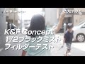 K&amp;F Conceptブラックミストフィルターテスト