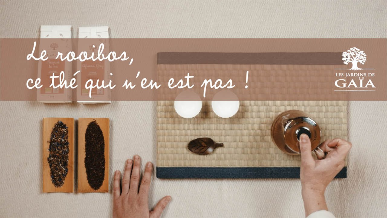 Le rooibos, ce thé qui n'en est pas un ! 🌿