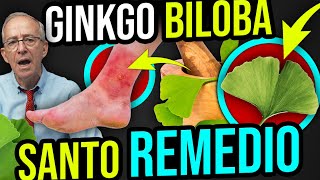 🌿 GINKGO BILOBA Benefits and How to Take It - Oswaldo Restrepo RSC