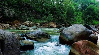 Tranquil River Sounds for Meditation and Focus – 12H Flow