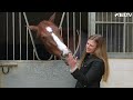 Exclusive look behind the scenes with Joe Stockdale & Megan Elphick 👀🤩 | in partnership with Agria