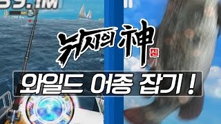 숨막히는 밀당! 와일드 어종 잡기 ! (낚시의 신) screenshot 4